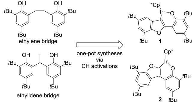 Ruthenium Vinylidene Complexes Generated by Selective 1,2
